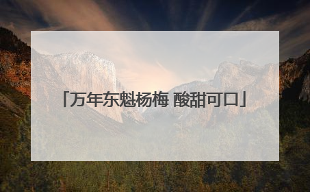 万年东魁杨梅 酸甜可口
