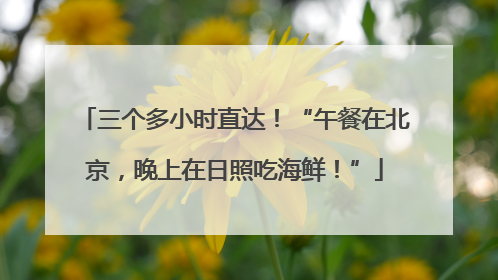 三个多小时直达！“午餐在北京，晚上在日照吃海鲜！”