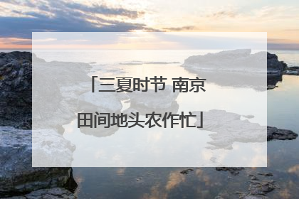 三夏时节 南京田间地头农作忙