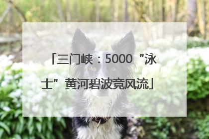 三门峡：5000“泳士”黄河碧波竞风流