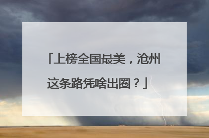 上榜全国最美，沧州这条路凭啥出圈？