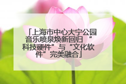 上海市中心大宁公园音乐喷泉焕新回归 “科技硬件”与“文化软件”完美融合