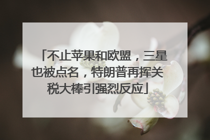 不止苹果和欧盟，三星也被点名，特朗普再挥关税大棒引强烈反应