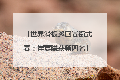 世界滑板巡回赛街式赛：崔宸曦获第四名