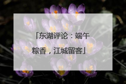 东湖评论：端午粽香，江城留客