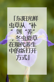 东阳光鲜虫草从“补”到“养”，冬虫夏草在现代养生中的新打开方式