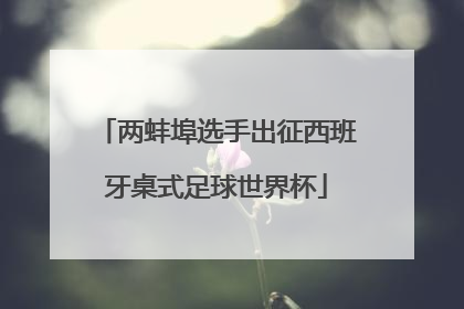 两蚌埠选手出征西班牙桌式足球世界杯