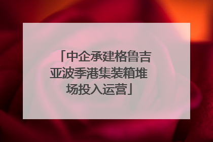 中企承建格鲁吉亚波季港集装箱堆场投入运营