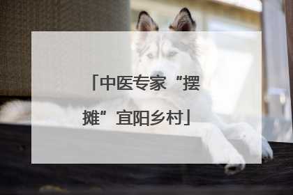 中医专家“摆摊”宜阳乡村