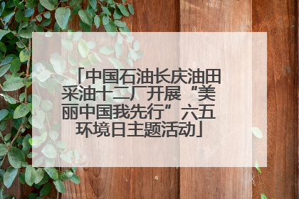 中国石油长庆油田采油十二厂开展“美丽中国我先行”六五环境日主题活动