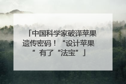 中国科学家破译苹果遗传密码！“设计苹果”有了“法宝”