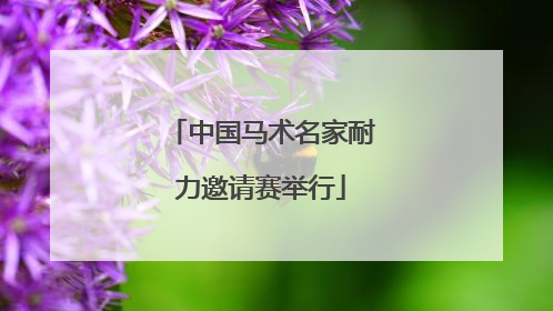 中国马术名家耐力邀请赛举行