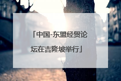 中国-东盟经贸论坛在吉隆坡举行