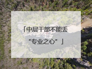 中层干部不能丢“专业之心”
