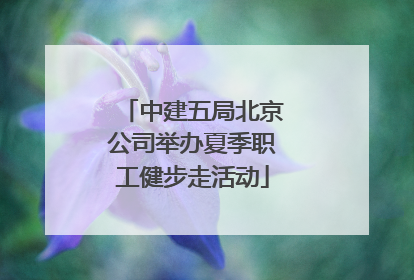 中建五局北京公司举办夏季职工健步走活动