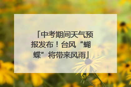 中考期间天气预报发布！台风“蝴蝶”将带来风雨