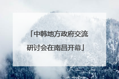 中韩地方政府交流研讨会在南昌开幕