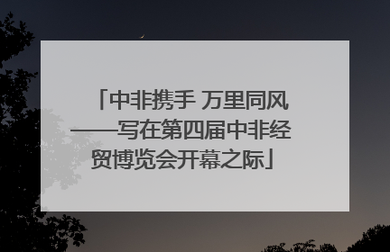 中非携手 万里同风——写在第四届中非经贸博览会开幕之际