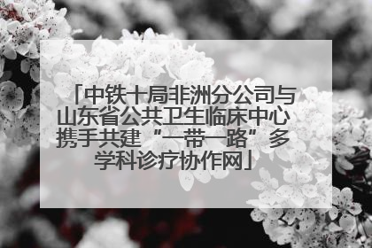 中铁十局非洲分公司与山东省公共卫生临床中心携手共建“一带一路”多学科诊疗协作网