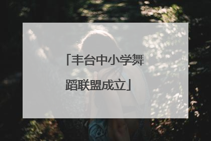 丰台中小学舞蹈联盟成立