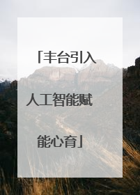 丰台引入人工智能赋能心育