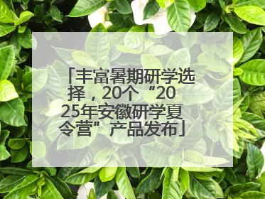 丰富暑期研学选择，20个“2025年安徽研学夏令营”产品发布