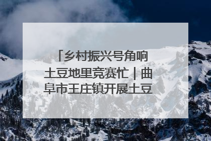 乡村振兴号角响 土豆地里竞赛忙｜曲阜市王庄镇开展土豆收获劳动竞赛