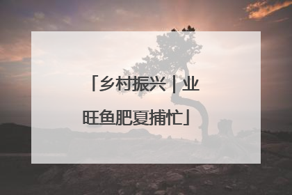 乡村振兴｜业旺鱼肥夏捕忙