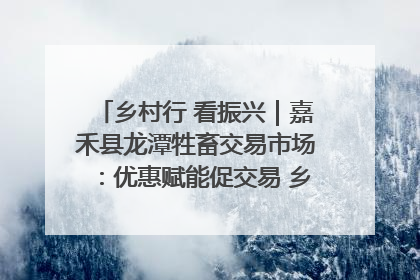 乡村行 看振兴｜嘉禾县龙潭牲畜交易市场：优惠赋能促交易 乡村振兴添动能