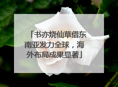 书亦烧仙草借东南亚发力全球，海外布局成果显著