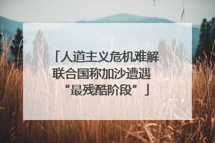人道主义危机难解 联合国称加沙遭遇“最残酷阶段”