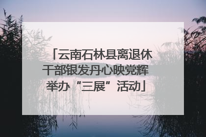 云南石林县离退休干部银发丹心映党辉举办“三展”活动