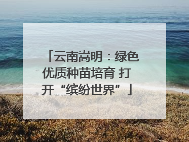 云南嵩明：绿色优质种苗培育 打开“缤纷世界”