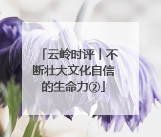 云岭时评丨不断壮大文化自信的生命力②