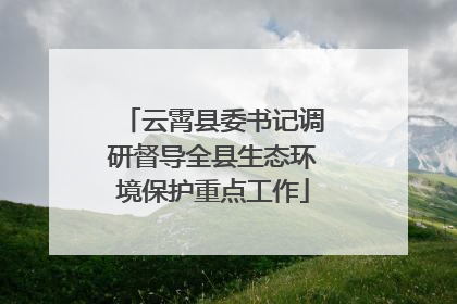云霄县委书记调研督导全县生态环境保护重点工作