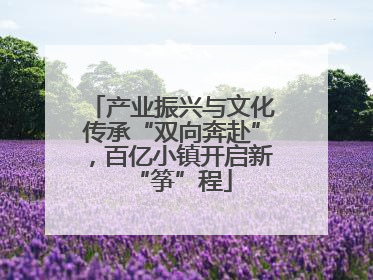 产业振兴与文化传承“双向奔赴”，百亿小镇开启新“筝”程