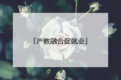 产教融合促就业
