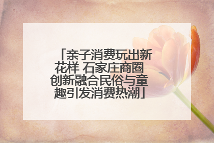 亲子消费玩出新花样 石家庄商圈创新融合民俗与童趣引发消费热潮