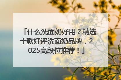 什么洗面奶好用？精选十款好评洗面奶品牌，2025高段位推荐！