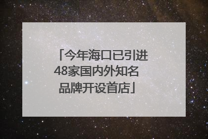 今年海口已引进48家国内外知名品牌开设首店