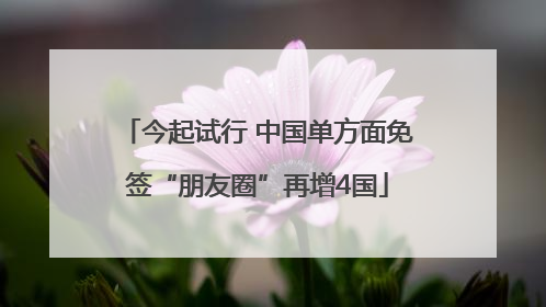 今起试行 中国单方面免签“朋友圈”再增4国