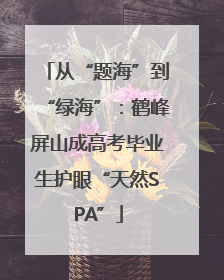 从“题海”到“绿海”：鹤峰屏山成高考毕业生护眼“天然SPA”