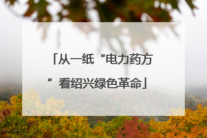 从一纸“电力药方”看绍兴绿色革命