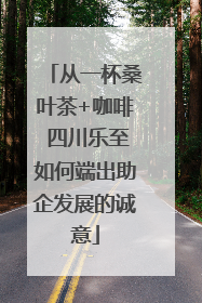 从一杯桑叶茶+咖啡 四川乐至如何端出助企发展的诚意