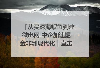 从买深海鳀鱼到建微电网 中企加速掘金非洲现代化｜直击中非经贸博览会