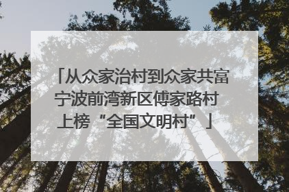 从众家治村到众家共富 宁波前湾新区傅家路村上榜“全国文明村”