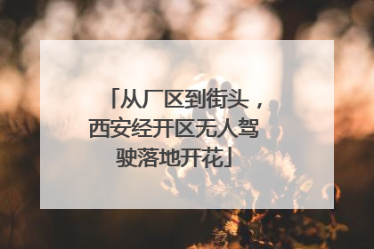 从厂区到街头，西安经开区无人驾驶落地开花