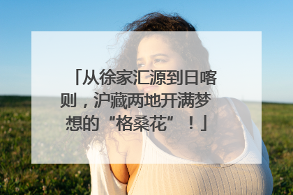 从徐家汇源到日喀则，沪藏两地开满梦想的“格桑花”！