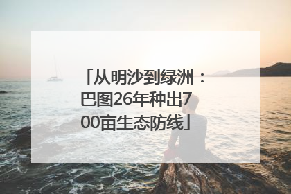 从明沙到绿洲：巴图26年种出700亩生态防线