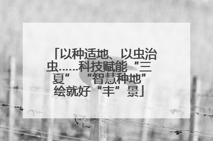 以种适地、以虫治虫……科技赋能“三夏” “智慧种地”绘就好“丰”景